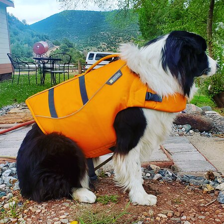 Colorado River Rafting